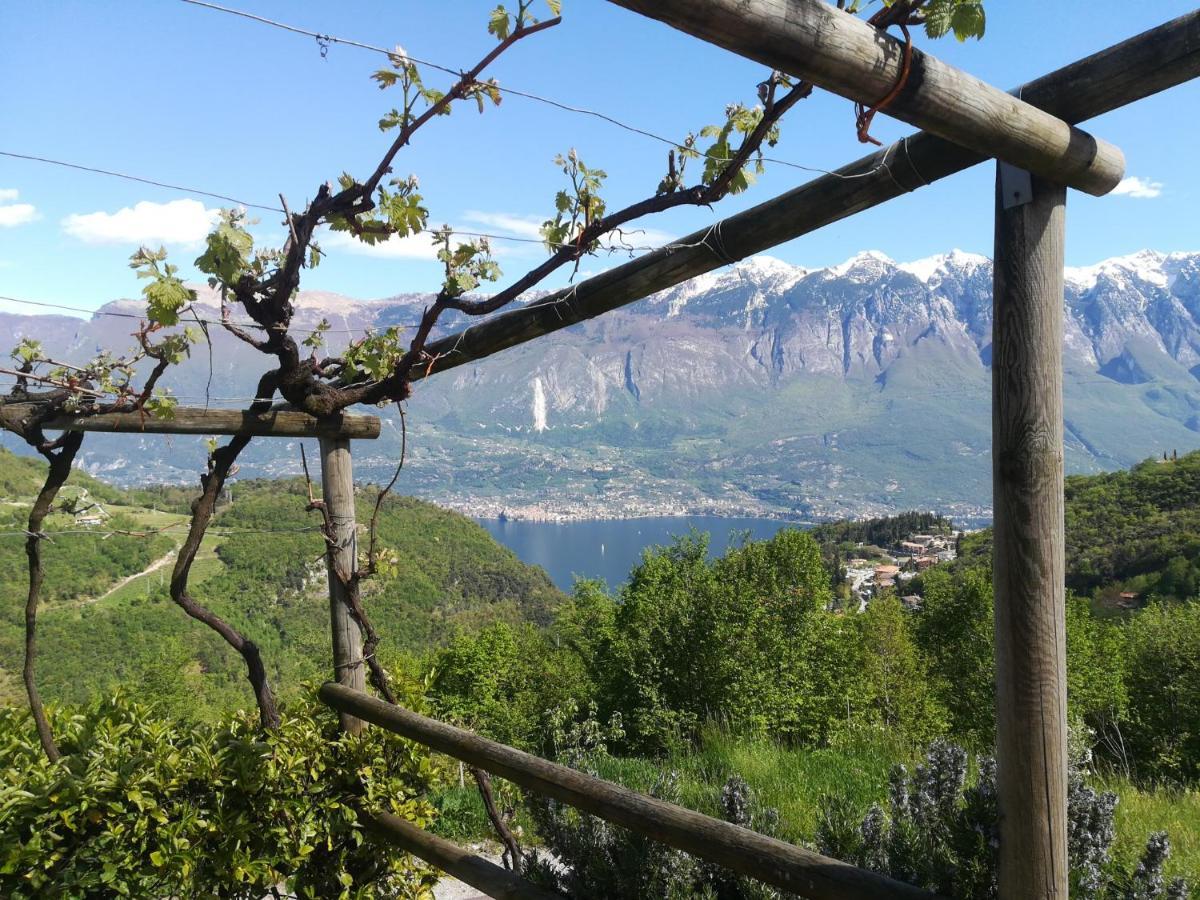 Agriturismo La Zangola Tremosine Buitenkant foto